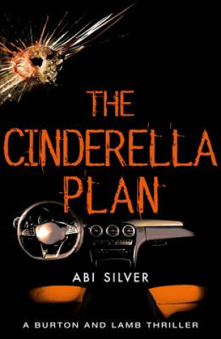 Kniha Cinderella Plan Abi Silver