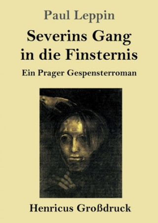 Kniha Severins Gang in die Finsternis (Grossdruck) Paul Leppin