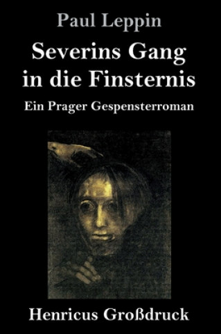 Kniha Severins Gang in die Finsternis (Grossdruck) Paul Leppin