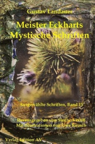 Buch Meister Eckharts -Mystische Schriften Gustav Landauer