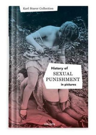 Kniha History Of S:e:x:u:a:l Punishment In Pictures Goliath