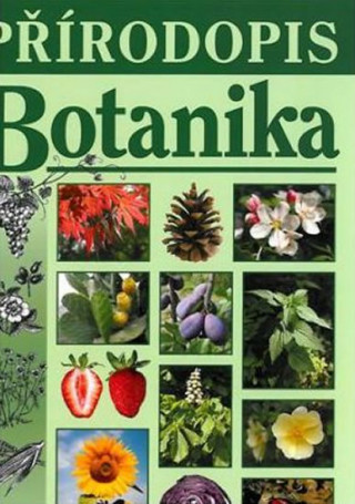 Buch Přírodopis - Botanika (učebnice) Jana Skýbová