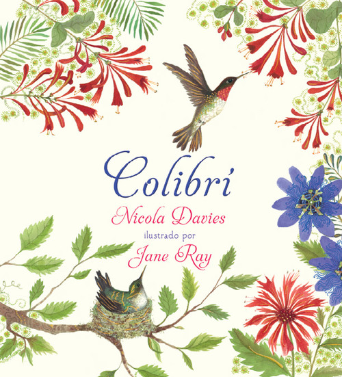 Buch Colibrí Nicola Davies