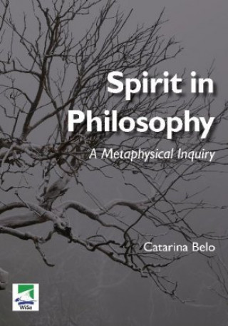 Könyv Spirit in Philosophy Catarina Belo