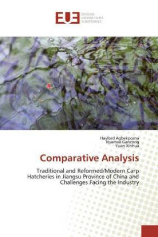 Livro Comparative Analysis Hayford Agbekpornu