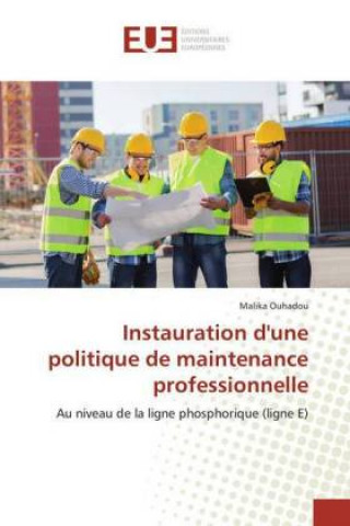 Könyv Instauration d'une politique de maintenance professionnelle Malika Ouhadou