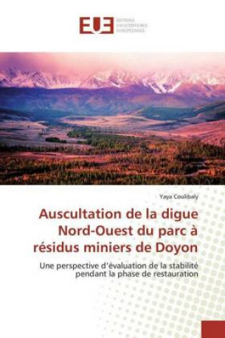 Книга Auscultation de la digue Nord-Ouest du parc ? résidus miniers de Doyon Yaya Coulibaly