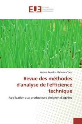 Carte Revue des methodes d'analyse de l'efficience technique Abdoul Bassidou Mahaman Yaou
