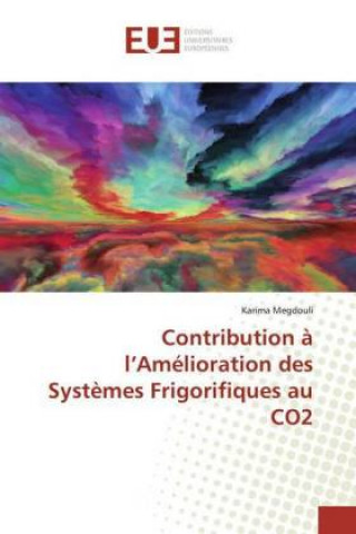 Kniha Contribution a l'Amelioration des Systemes Frigorifiques au CO2 Karima Megdouli