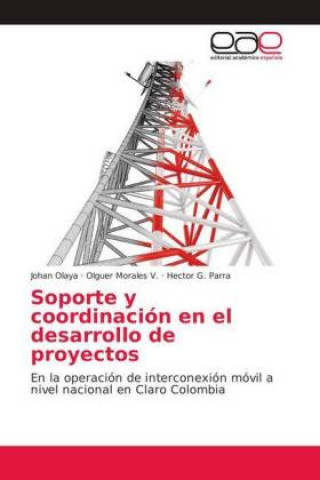 Knjiga Soporte y coordinación en el desarrollo de proyectos Johan Olaya