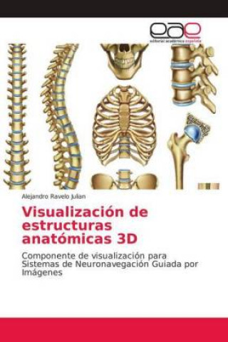 Boek Visualización de estructuras anatómicas 3D Alejandro Ravelo Julian