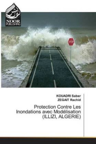 Kniha Protection Contre Les Inondations avec Modelisation (ILLIZI, ALGERIE) Kouadri Saber