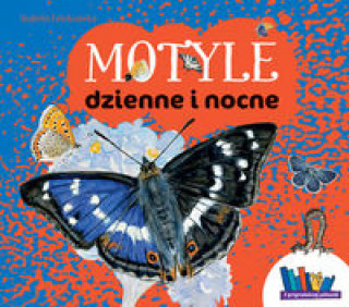 Book Motyle dzienne i nocne Dziekańska Izabela