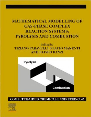 Buch Mathematical Modelling of Gas-Phase Complex Reaction Systems: Pyrolysis and Combustion Tiziano Faravelli