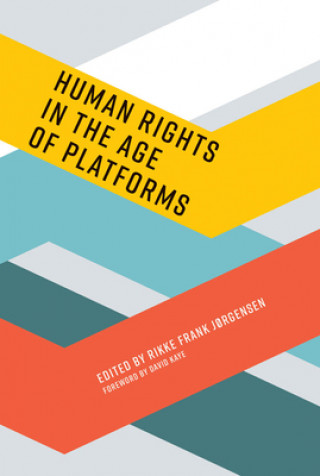 Kniha Human Rights in the Age of Platforms David Kaye