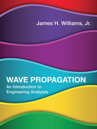 Książka Wave Propagation James H. Williams Jr