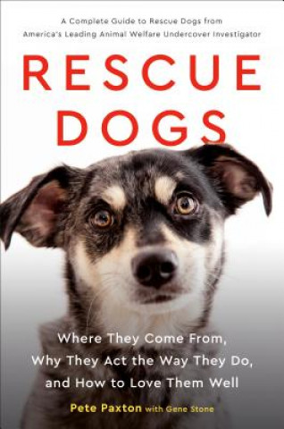 Könyv Rescue Dogs Gene Stone