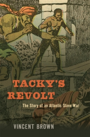 Kniha Tacky's Revolt Vincent Brown