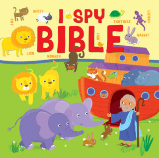 Książka I Spy Bible Julia Stone