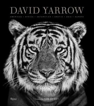 Könyv David Yarrow Photography David Yarrow