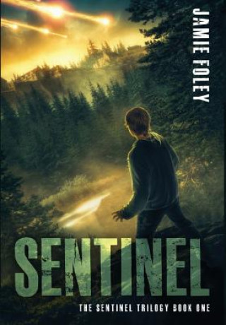 Book Sentinel Jamie Foley