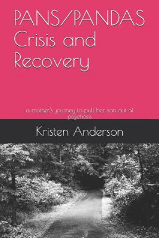 Carte Pans/Pandas Crisis and Recovery: A Mother's Journey to Pull Her Son Out of Psychosis Kristen Anderson