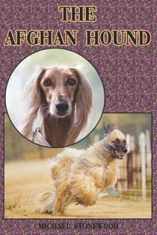 Kniha The Afghan Hound: A Complete and Comprehensive Beginners Guide To: Buying, Owning, Health, Grooming, Training, Obedience, Understanding Michael Stonewood