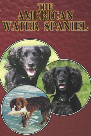 Buch The American Water Spaniel: A Complete and Comprehensive Beginners Guide To: Buying, Owning, Health, Grooming, Training, Obedience, Understanding Michael Stonewood