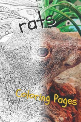 Книга Rat Coloring Pages: Beautiful Rats Drawings for Kids and for Adults Relaxation Coloring Pages