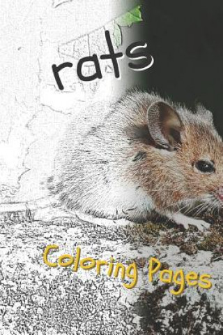 Kniha Rat Coloring Pages: Beautiful Rats Drawings for Kids and for Adults Relaxation Coloring Pages