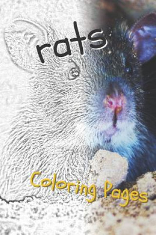 Книга Rat Coloring Pages: Beautiful Rats Drawings for Kids and for Adults Relaxation Coloring Pages