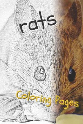 Książka Rat Coloring Pages: Beautiful Rats Drawings for Kids and for Adults Relaxation Coloring Pages