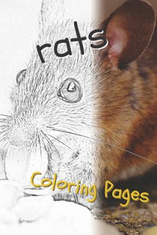 Kniha Rat Coloring Pages: Beautiful Rats Drawings for Kids and for Adults Relaxation Coloring Pages