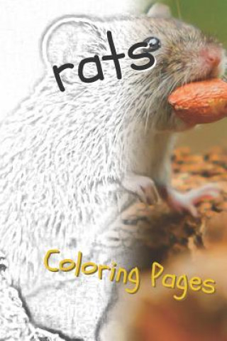 Kniha Rat Coloring Pages: Beautiful Rats Drawings for Kids and for Adults Relaxation Coloring Pages