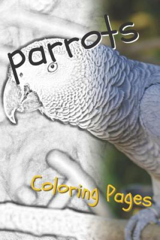 Kniha Parrot Coloring Pages: Beautiful Parrots Drawings for Kids and for Adults Relaxation Coloring Pages