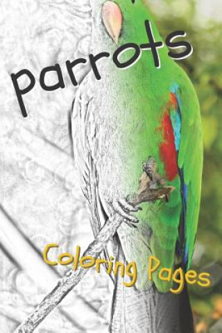 Könyv Parrot Coloring Pages: Beautiful Parrots Drawings for Kids and for Adults Relaxation Coloring Pages