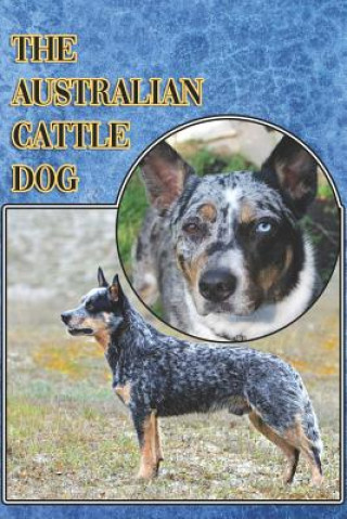 Carte The Australian Cattle Dog: A Complete and Comprehensive Beginners Guide To: Buying, Owning, Health, Grooming, Training, Obedience, Understanding Michael Stonewood