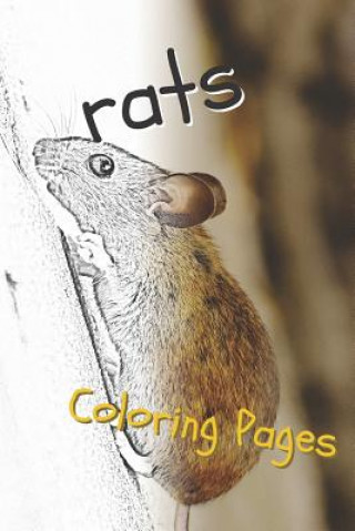 Книга Rat Coloring Pages: Beautiful Rats Drawings for Kids and for Adults Relaxation Coloring Pages