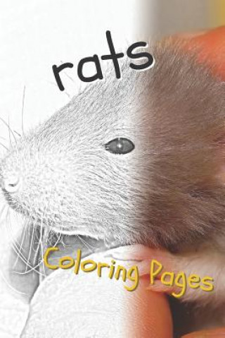 Kniha Rat Coloring Pages: Beautiful Rats Drawings for Kids and for Adults Relaxation Coloring Pages