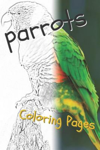 Książka Parrot Coloring Pages: Beautiful Parrots Drawings for Kids and for Adults Relaxation Coloring Pages