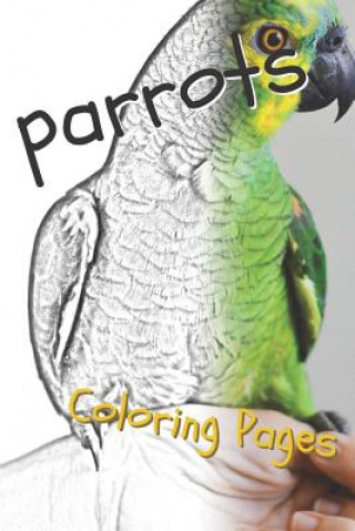 Kniha Parrot Coloring Pages: Beautiful Parrots Drawings for Kids and for Adults Relaxation Coloring Pages
