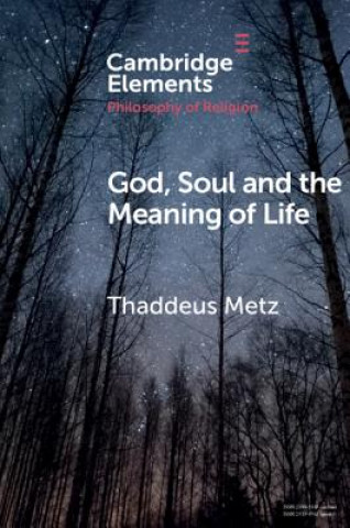 Könyv God, Soul and the Meaning of Life Thaddeus Metz