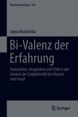 Könyv Bi-Valenz Der Erfahrung Jagna Brudzinska