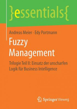 Kniha Fuzzy Management Andreas Meier