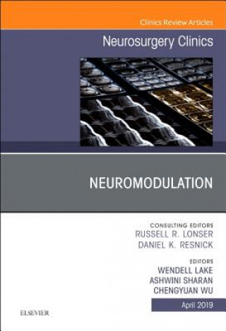 Kniha Neuromodulation, An Issue of Neurosurgery Clinics of North America Lake