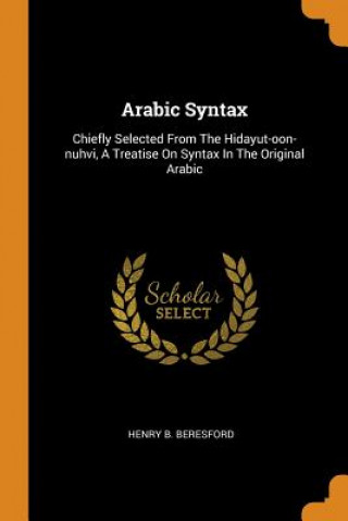 Knjiga Arabic Syntax Henry B Beresford