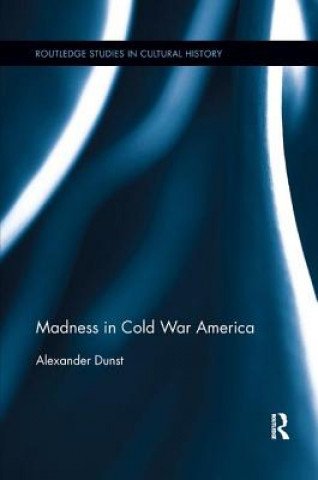 Buch Madness in Cold War America Dunst