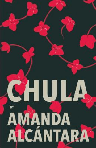 Książka Chula AMANDA ALCANTARA