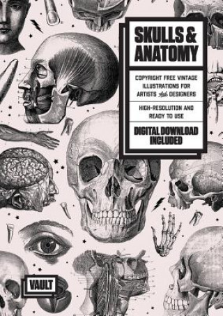 Kniha Skulls & Anatomy James Kale