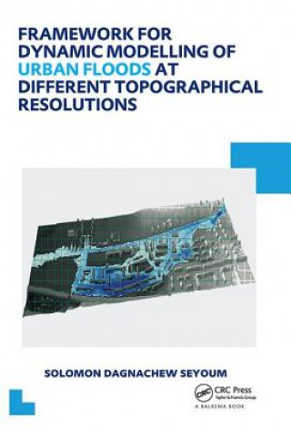 Kniha Framework for Dynamic Modelling of Urban Floods at Different Topographical Resolutions SEYOUM
